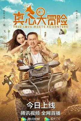 《真心遇上大冒险》：一场笑泪齐飞的爱情之旅，勇敢追爱，不再错过！