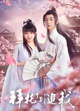 揭秘爱情逃避的搞笑冒险：拜托了，别追我深度影评与分析