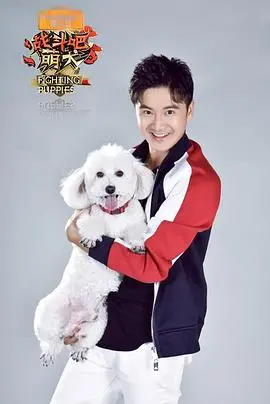 《战斗吧萌犬》：萌力爆棚的治愈系冒险，狗狗界的英雄联盟强势来袭！